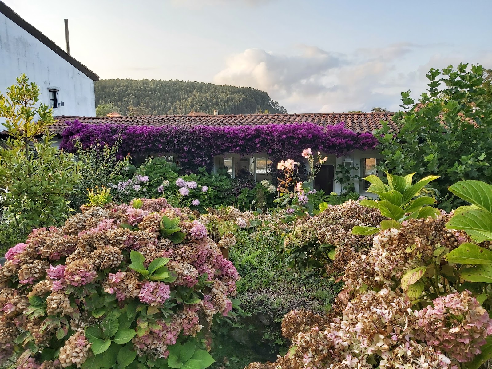 Puente del Pilar photo 7