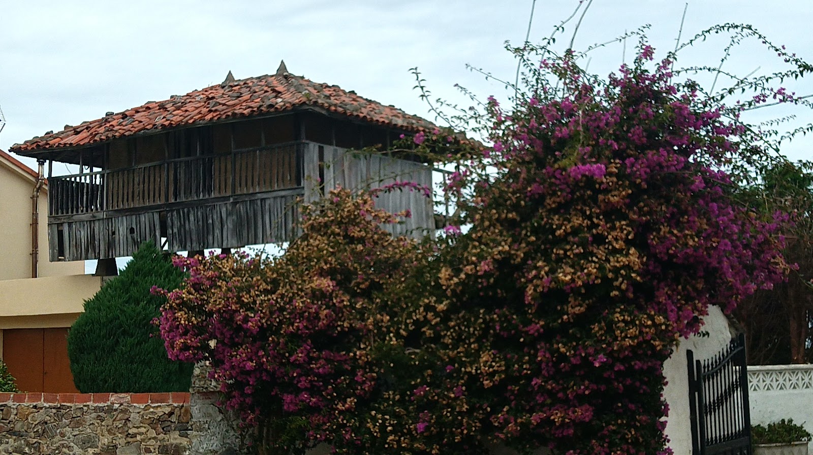 Santa Marina photo 7