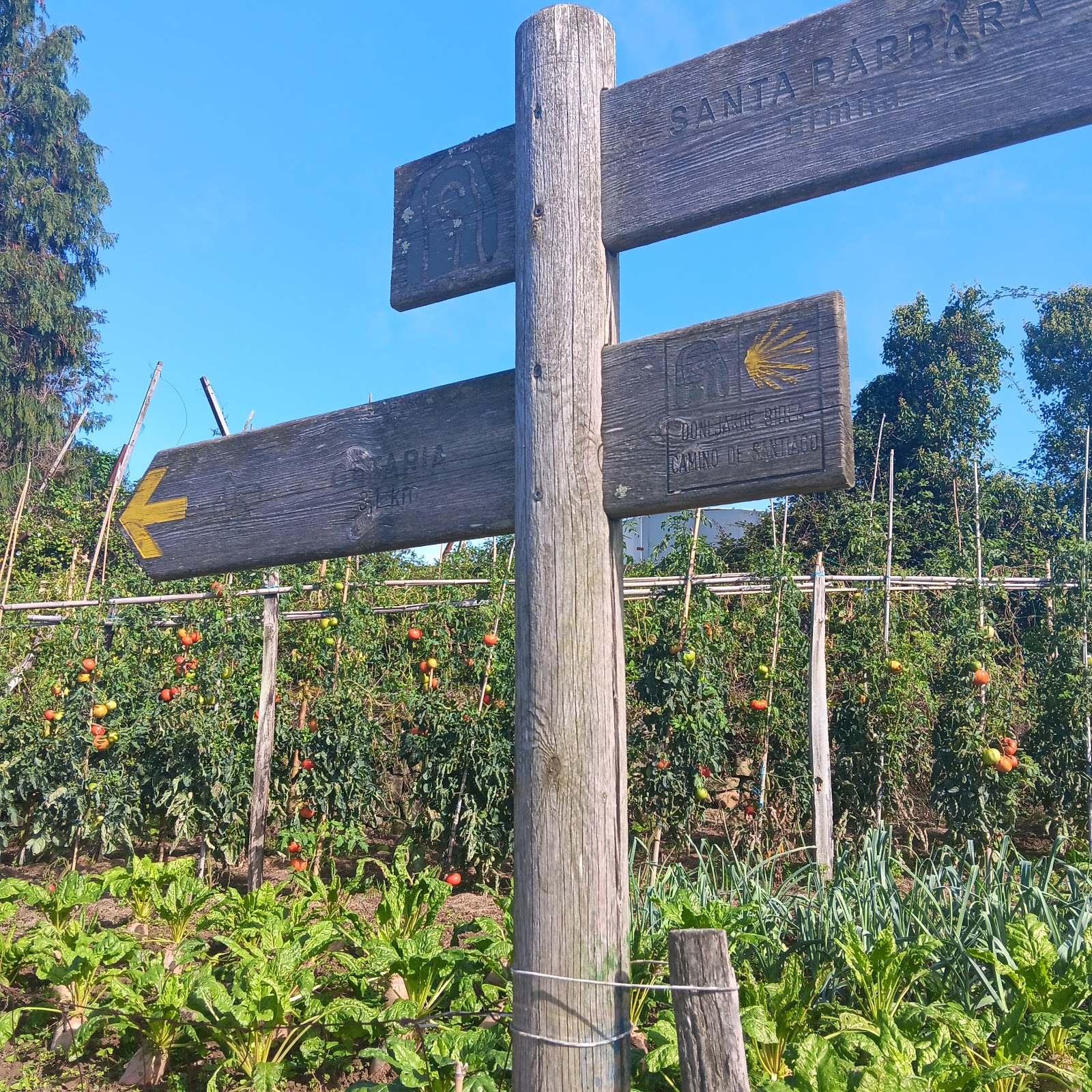 HEGO HAIZE ALBERGUE-HOSTEL en ZARAUTZ