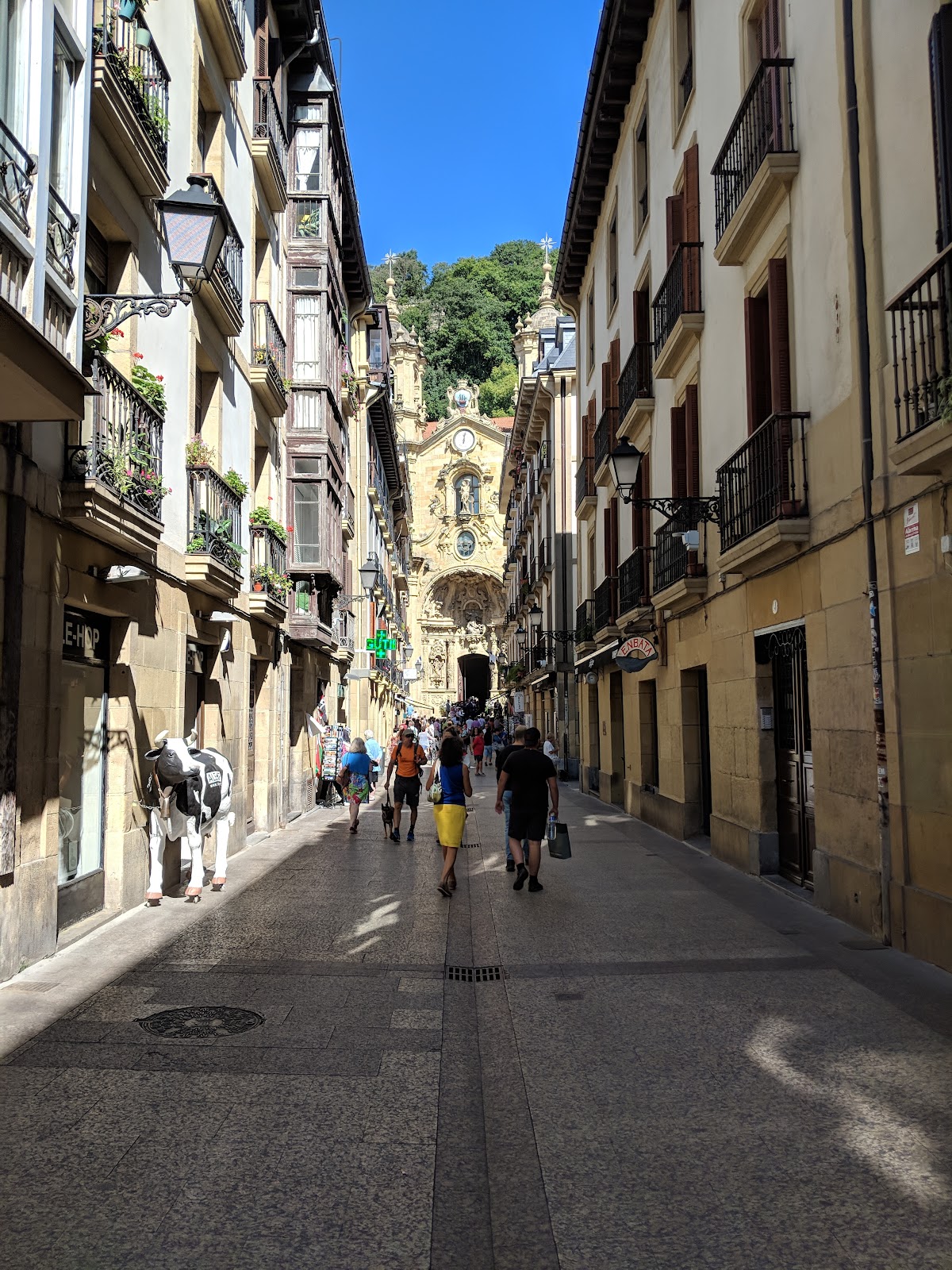 Larrea Pentsioa photo 6