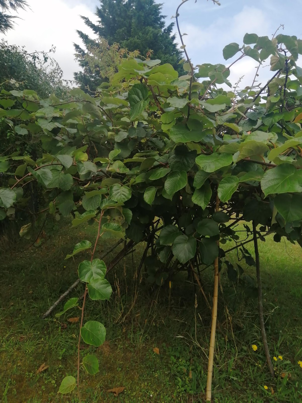La Milarina, Casa Rural photo 6