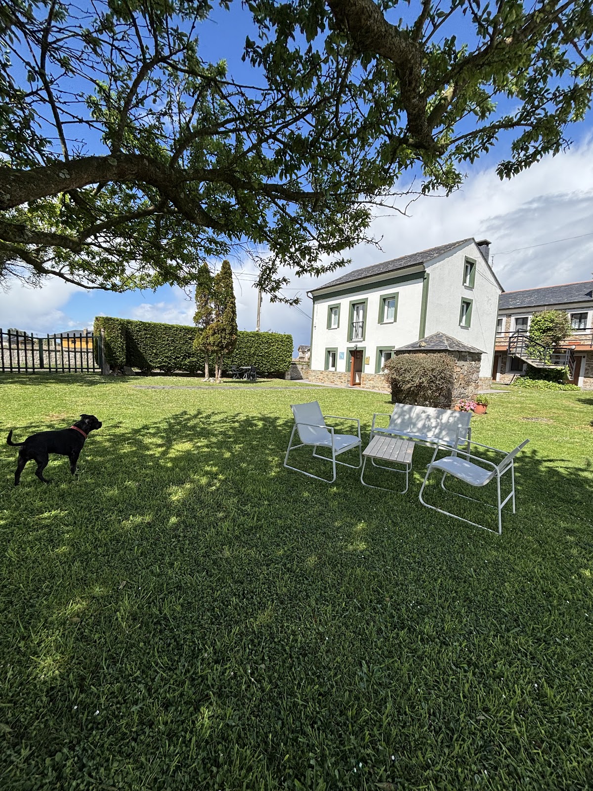 Apartamentos Castello photo 10