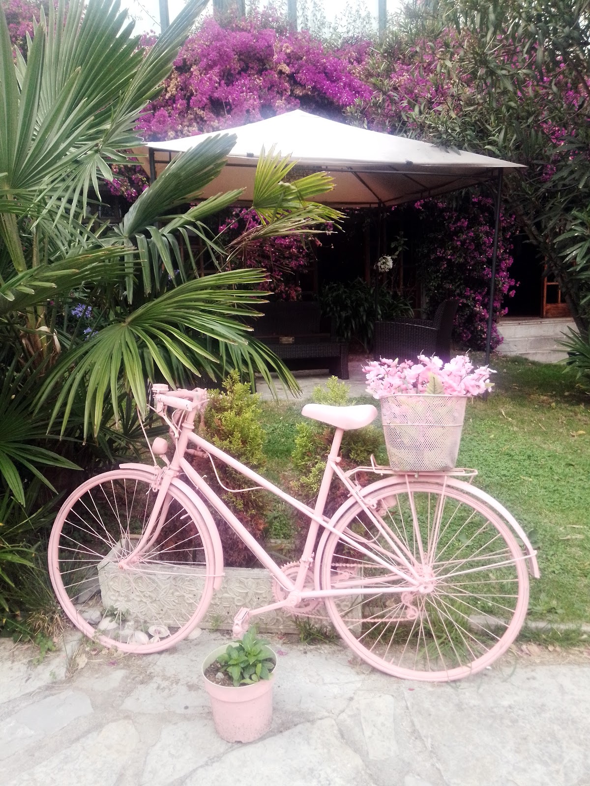 Hotel El Ancla photo 10