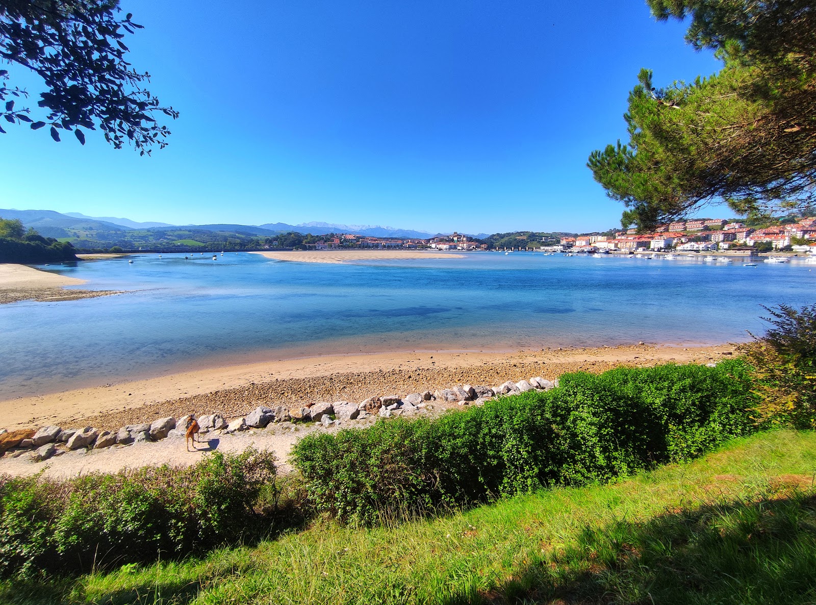 Camping El Rosal photo 5