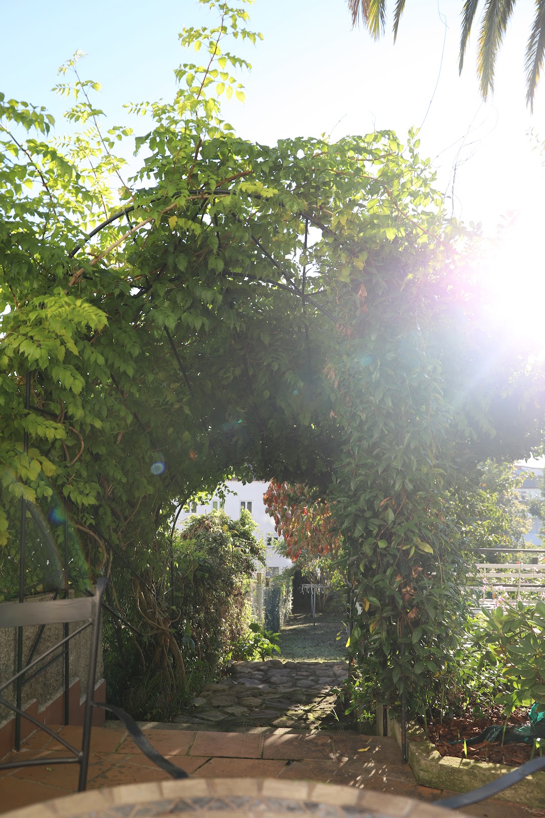 Stellae Luscofusco photo 10