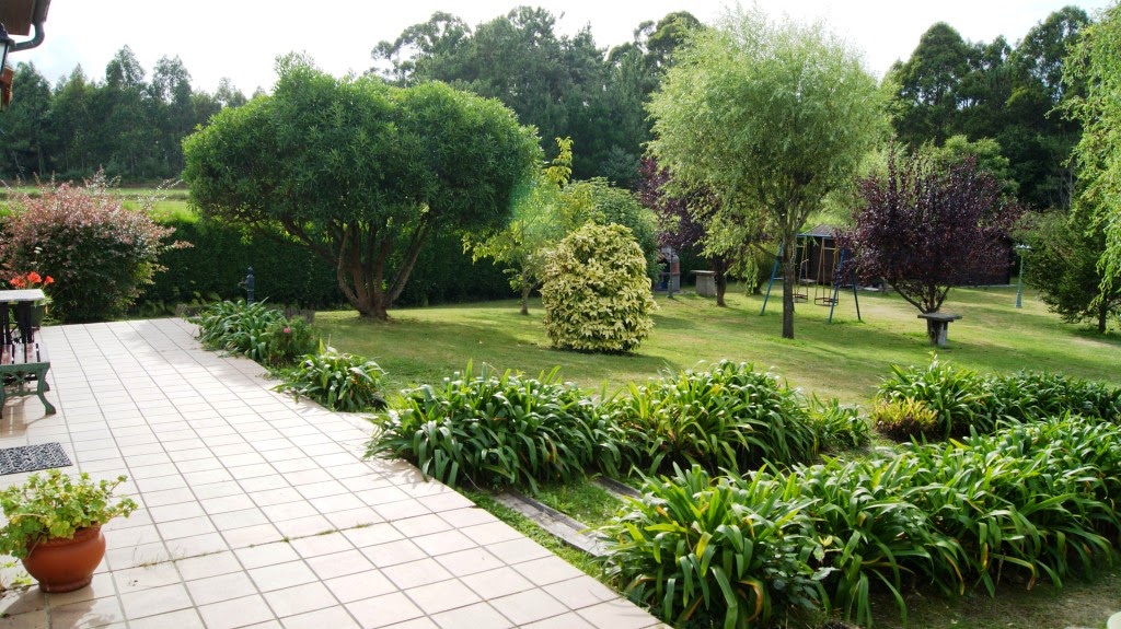 Apartamentos El Cueto photo 5