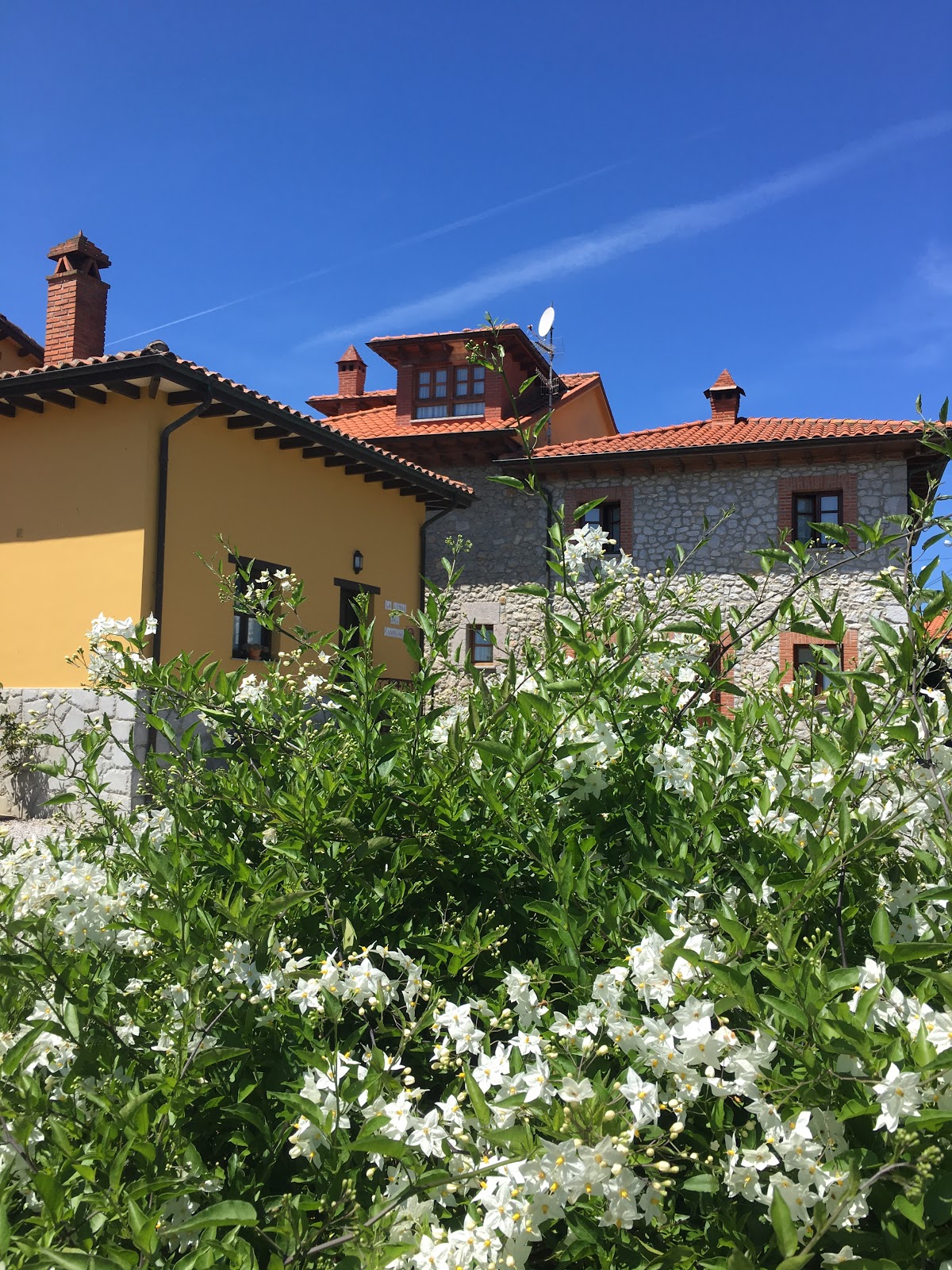 Casa Rural la Llosa del Canonigu