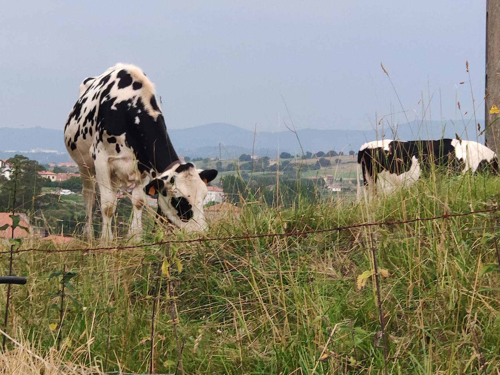 Posada Adela photo 10