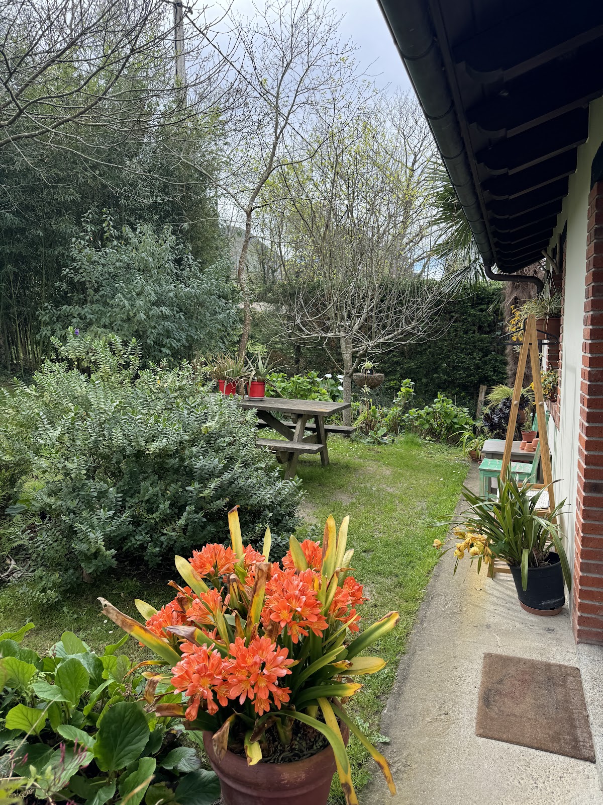 Albergue La Llosa de Cosme photo 10