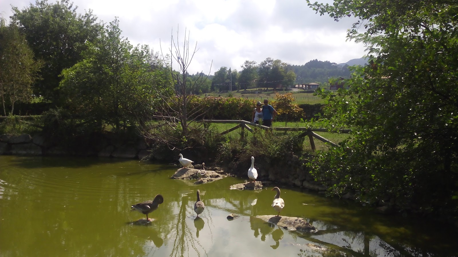 Pension Alfoz de Rondiella