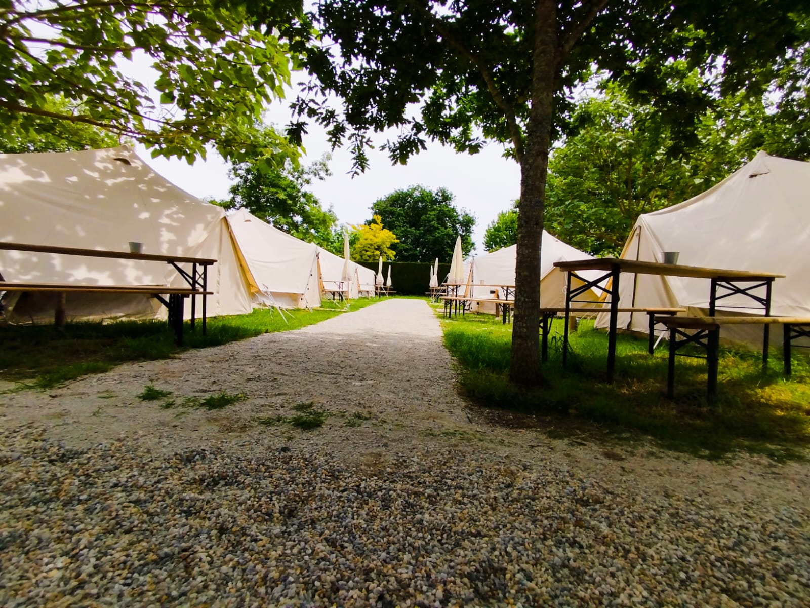 O Pedrouzo Pilgrim Camp photo 10