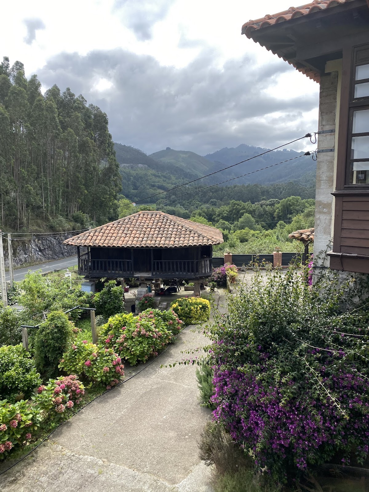 Finca los Venancios photo 9