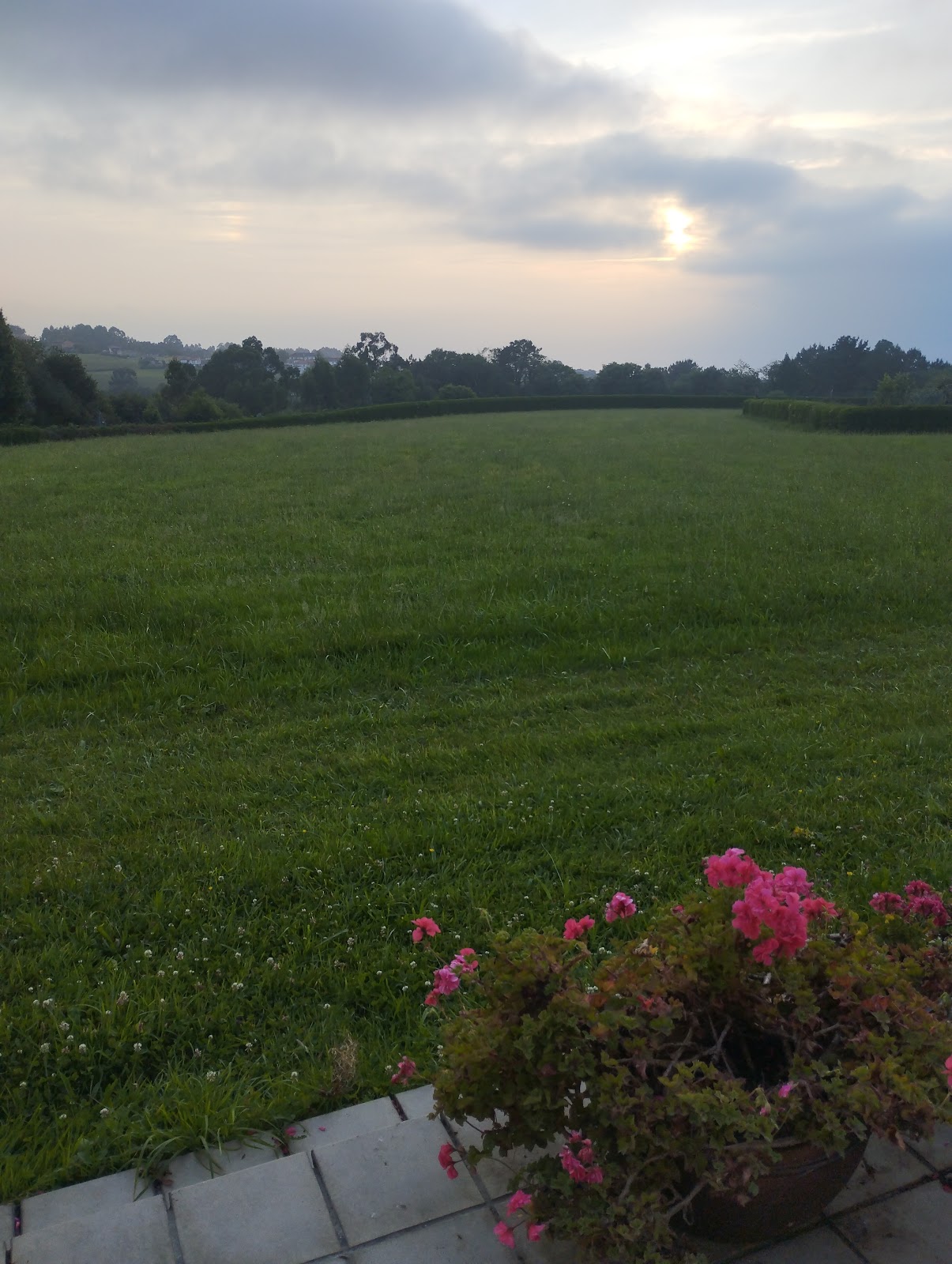 La Fontica VV photo 7