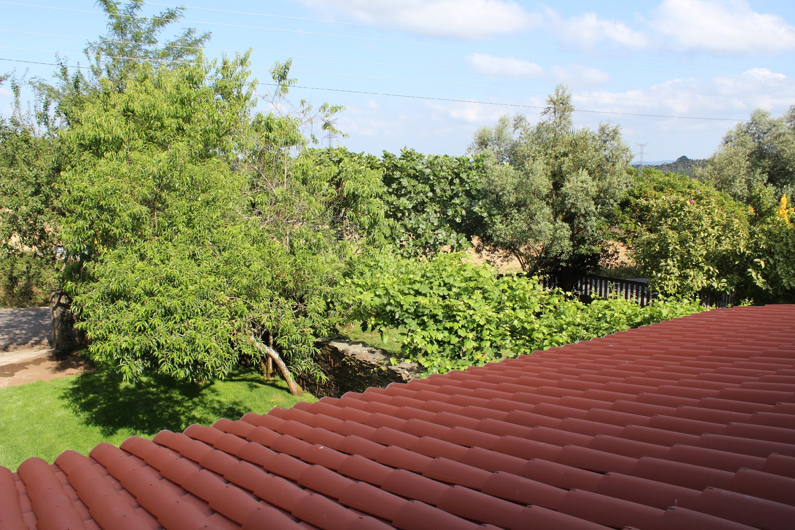 Hotel O Pozo - Alojamiento O Pino photo 10