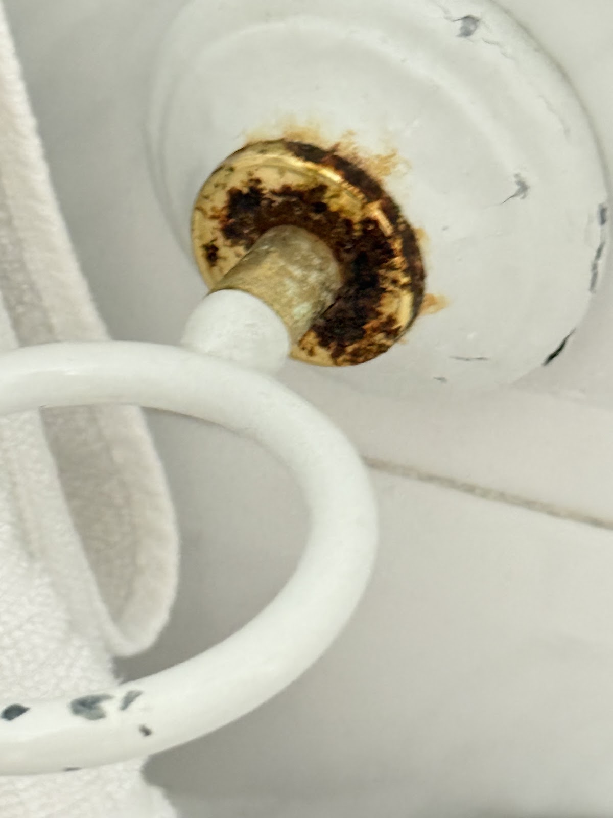 Hotel Cantón photo 10