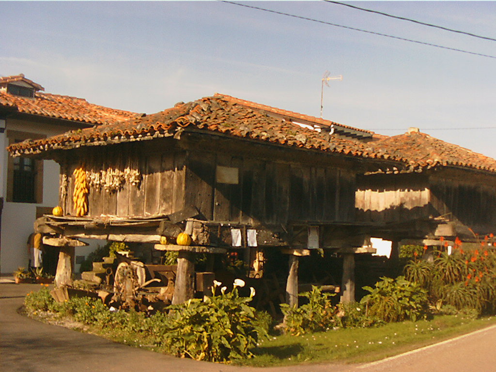 Apartamentos Playa La Franca photo 9