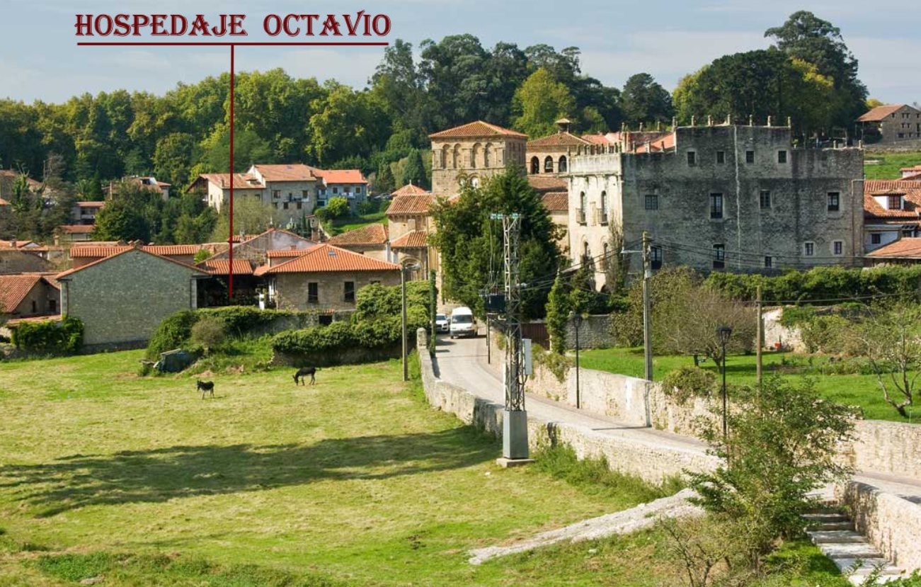 Pensión Hospedaje Casa Octavio photo 4