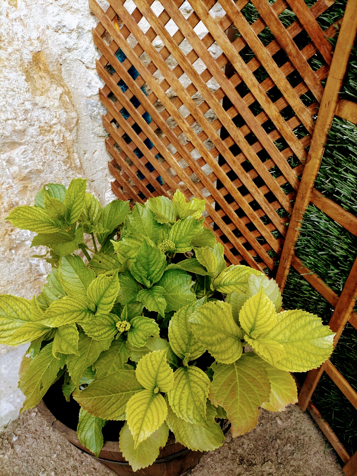 Casa Rural La Peña Unquera photo 4