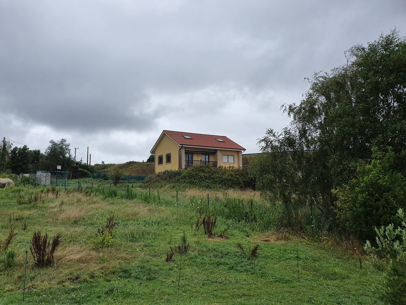 Hospedaje Casa Milagros photo 6