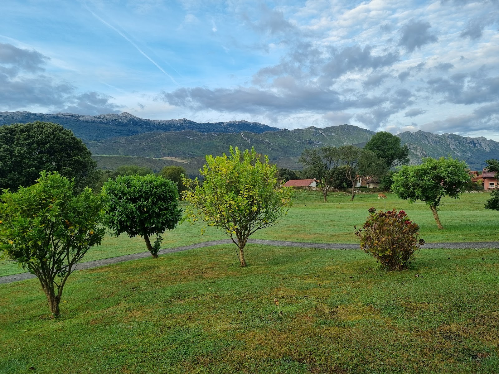 Cottages Andrin La Torre photo 5