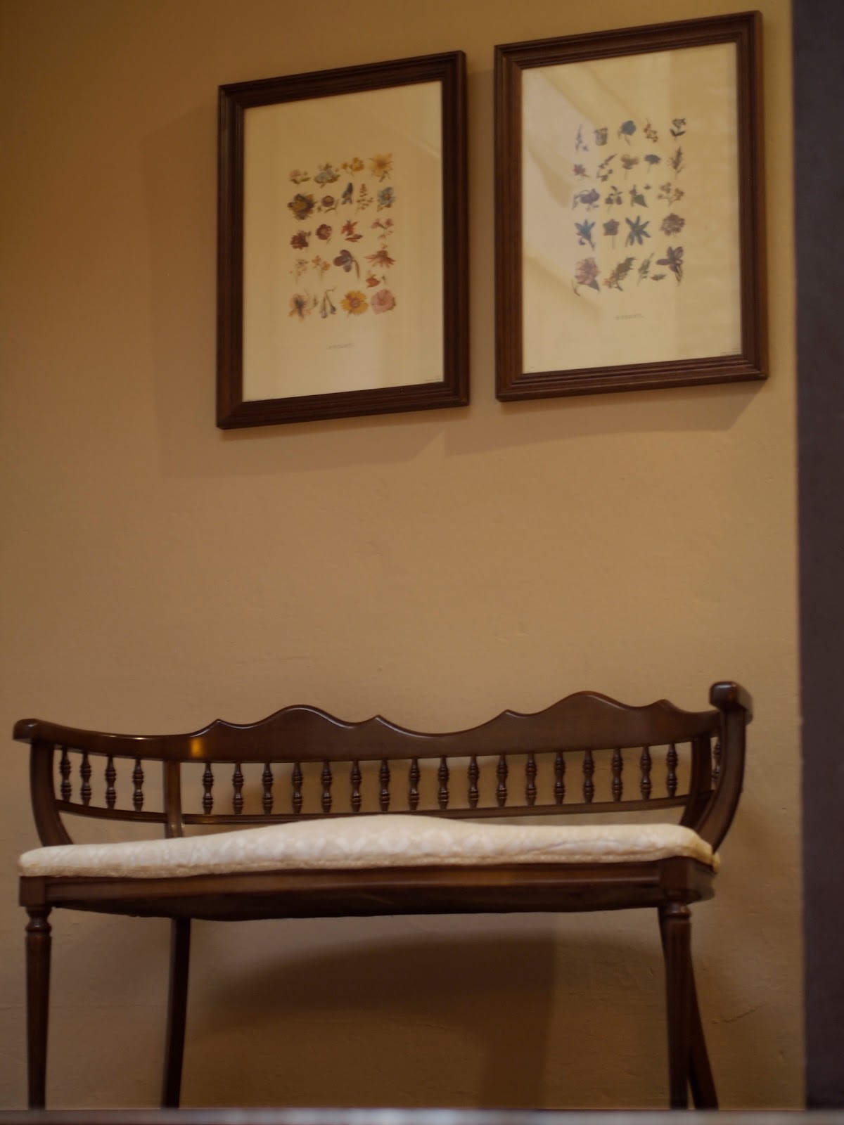 Albergue Villaviciosa photo 10