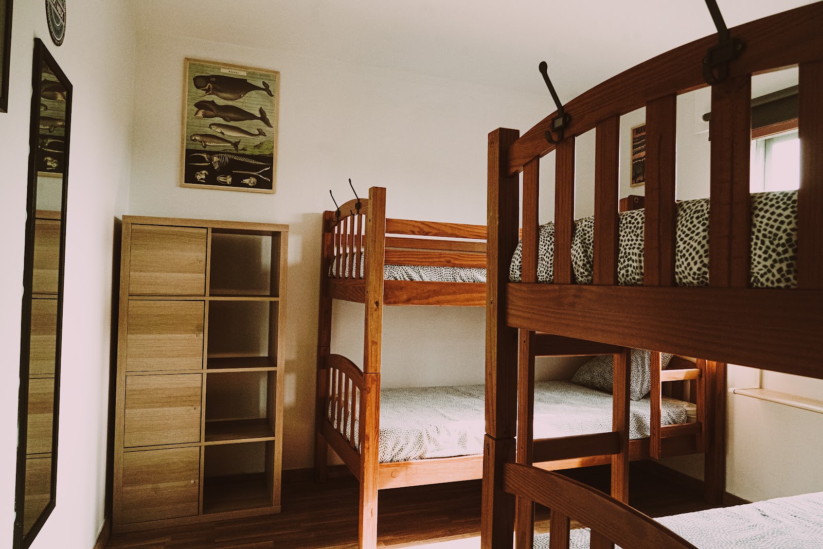 Seronda Surfhouse photo 2