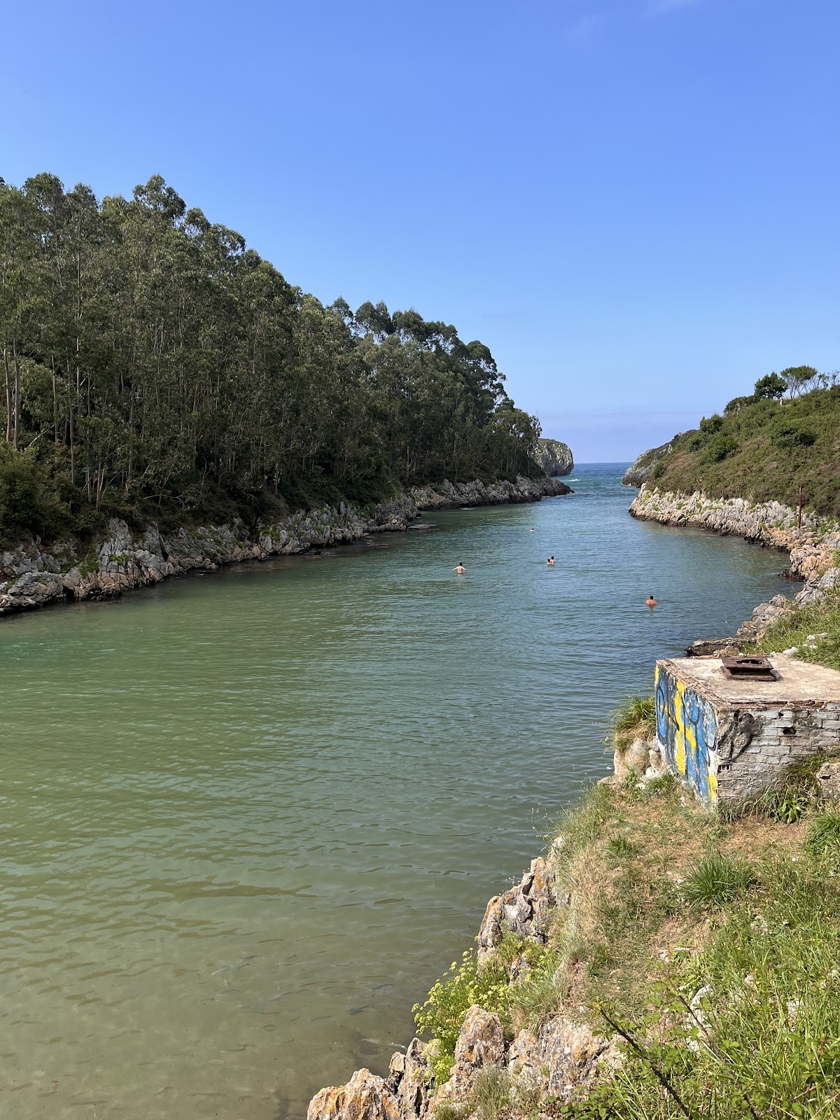 La Rotella de Xavi photo 5