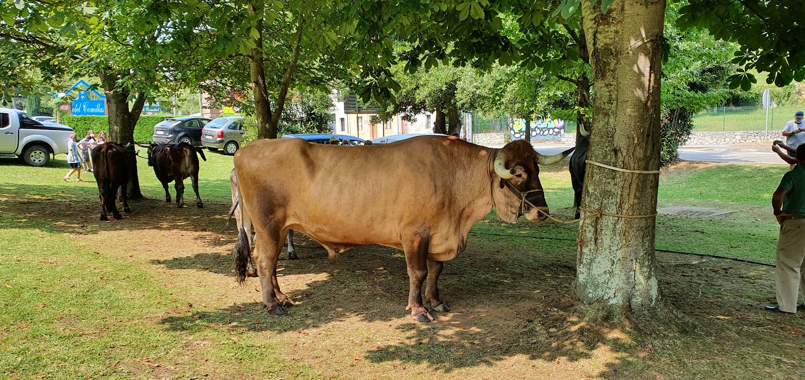 Apartamentos Club Condal photo 9