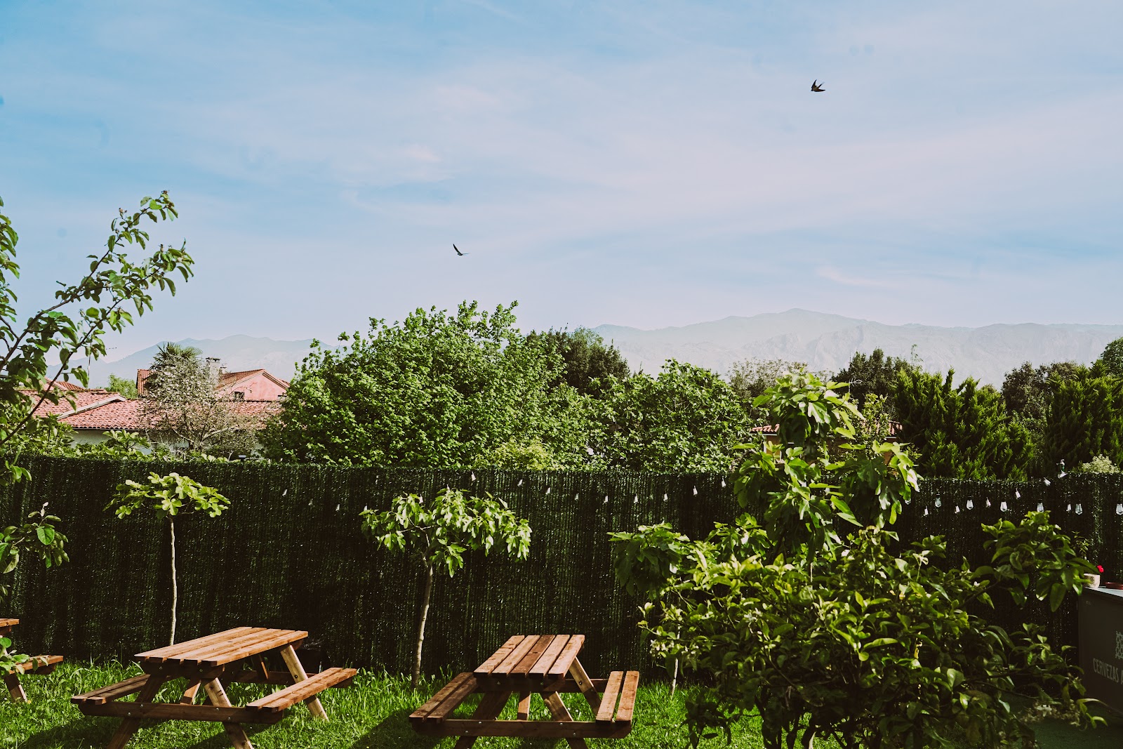 Seronda Surfhouse photo 7