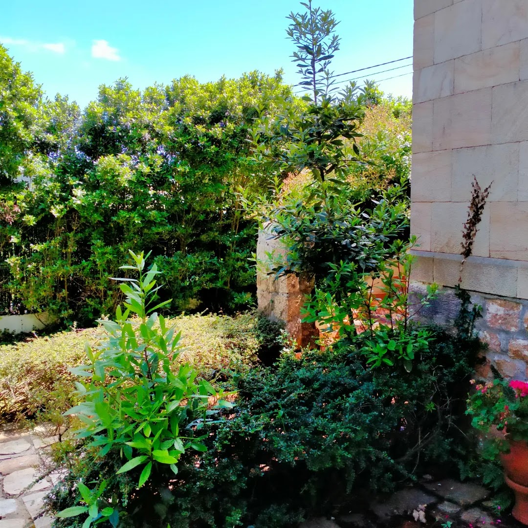 Fireplace Cántabra photo 10