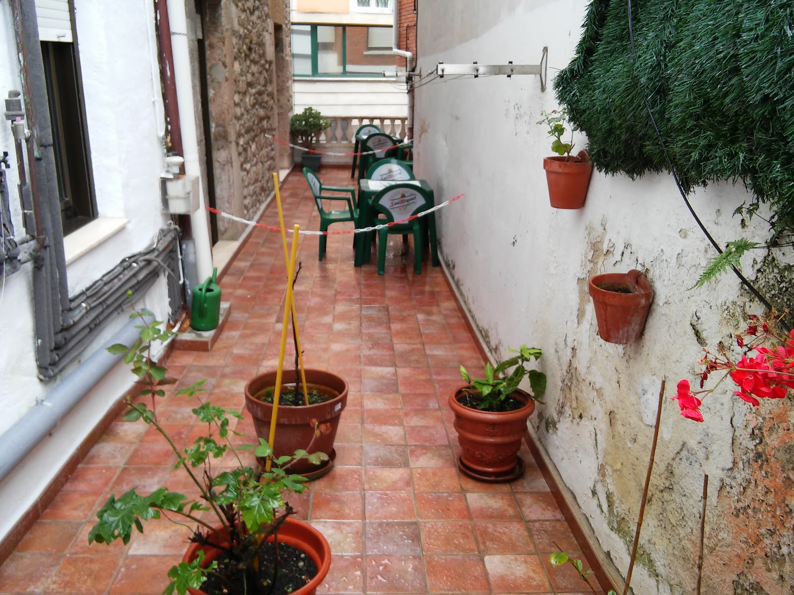 Pensión Arenal photo 9