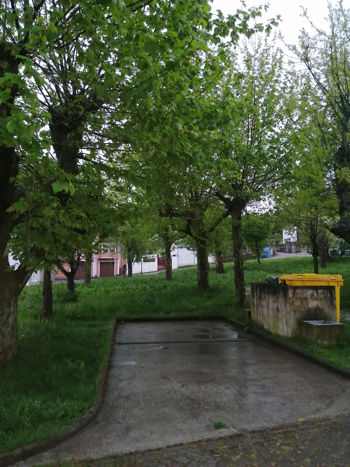 Area Camper Mondoñedo photo 8