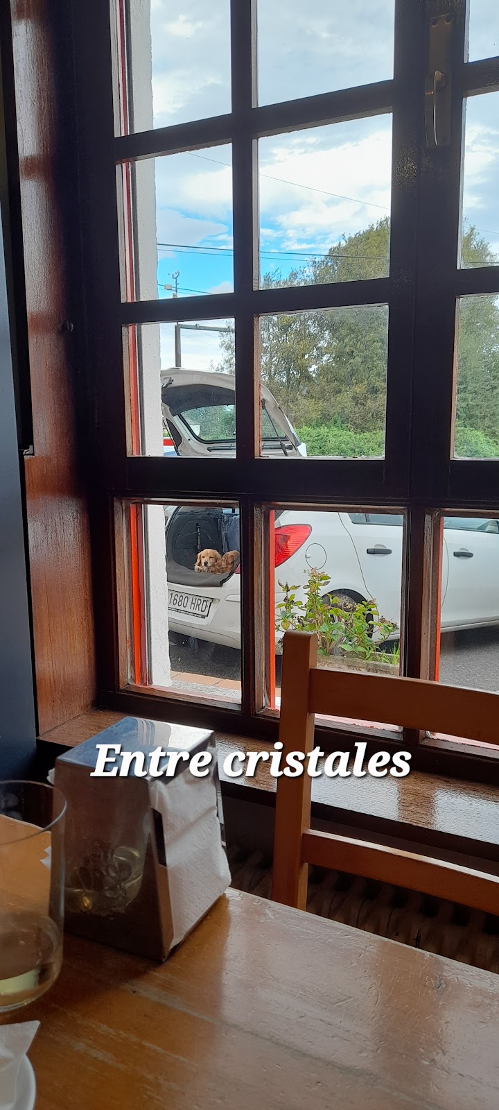 Hostal El Redondel photo 8