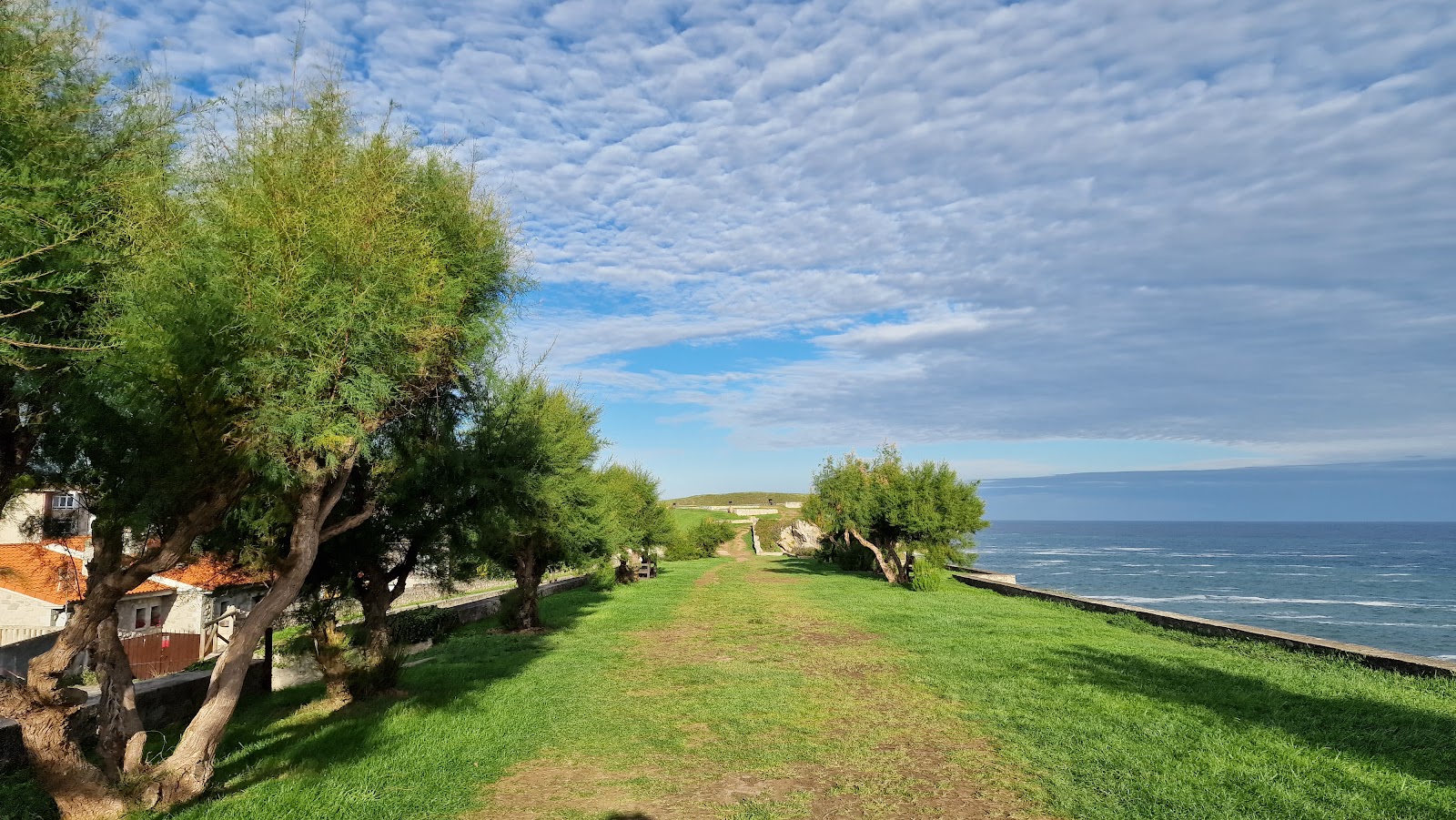 Pension los Pinos photo 3