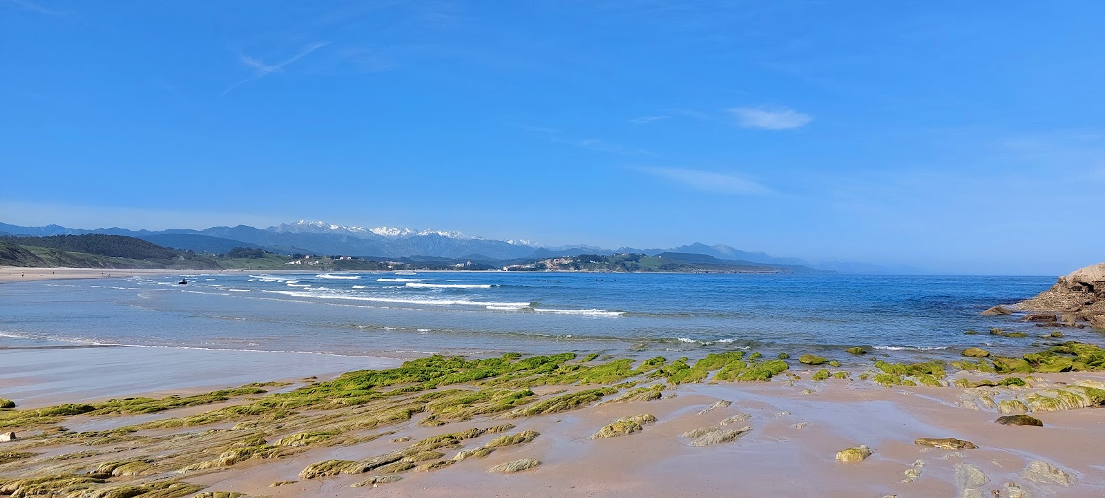 Las Tres Mimosas photo 7