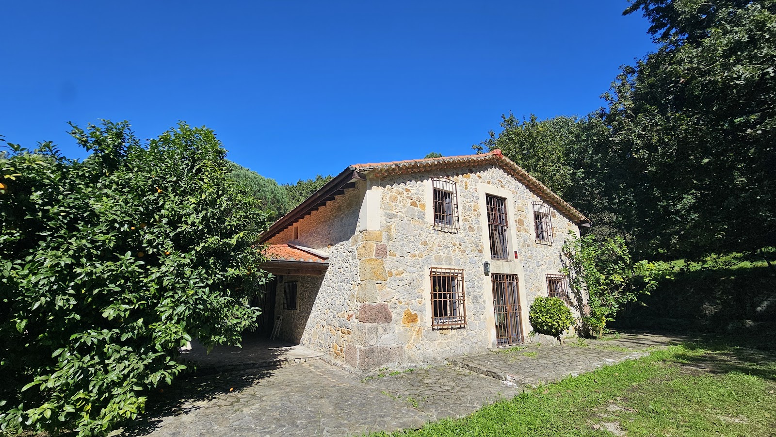 LA LIBÉLULA DE CANTABRIA