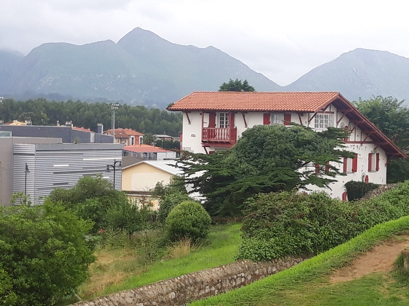 Pension los Pinos photo 4