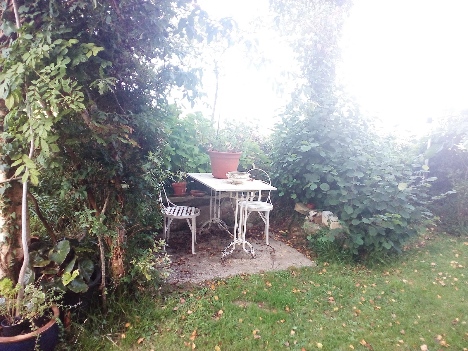 Hotel El Pagadin photo 6