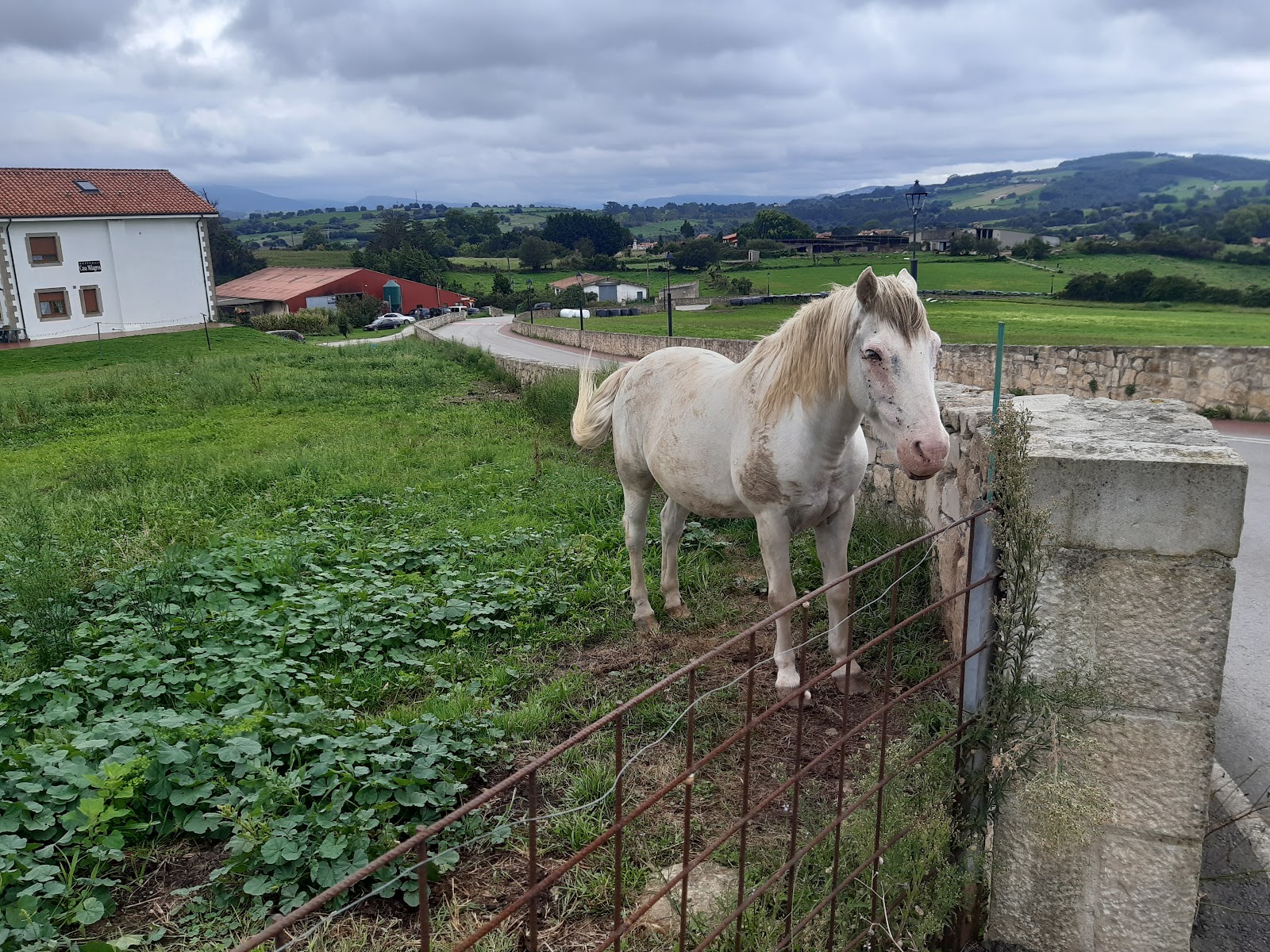 Hospedaje Casa Milagros photo 10