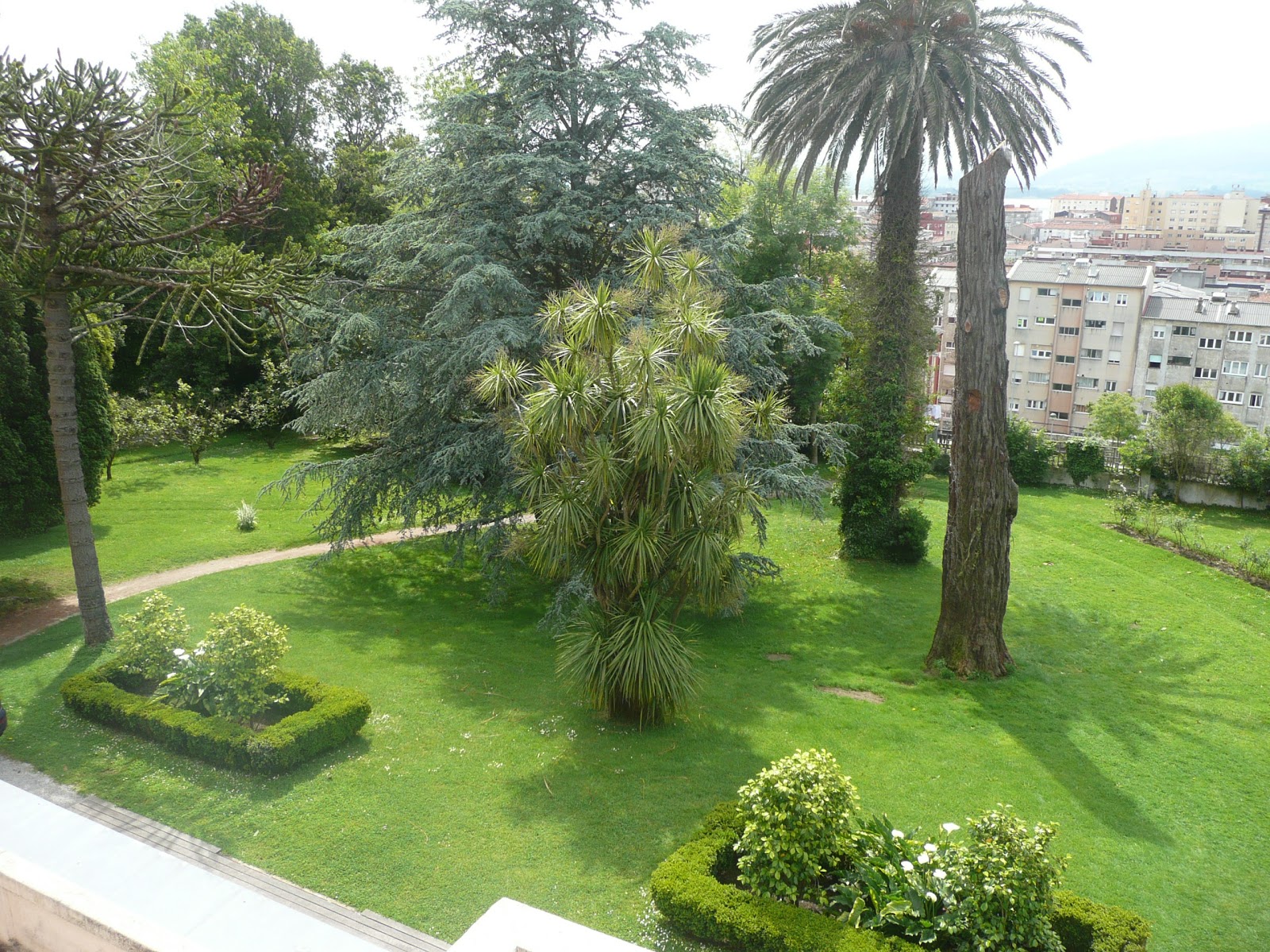 Las Carolinas Garden photo 6