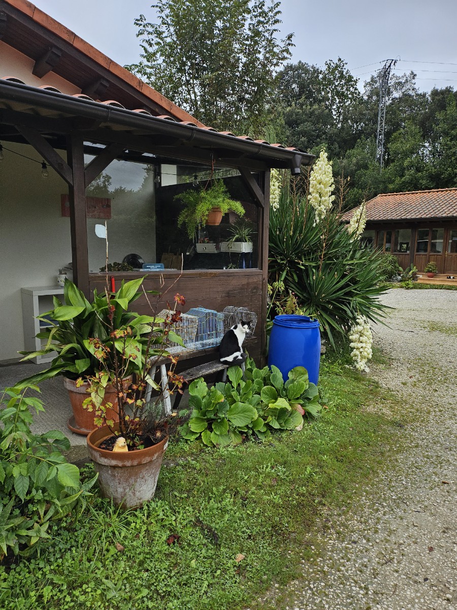 Albergue La Llosa de Cosme photo 6