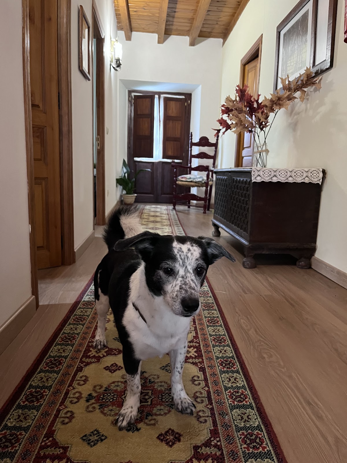 Casa del Cura photo 9