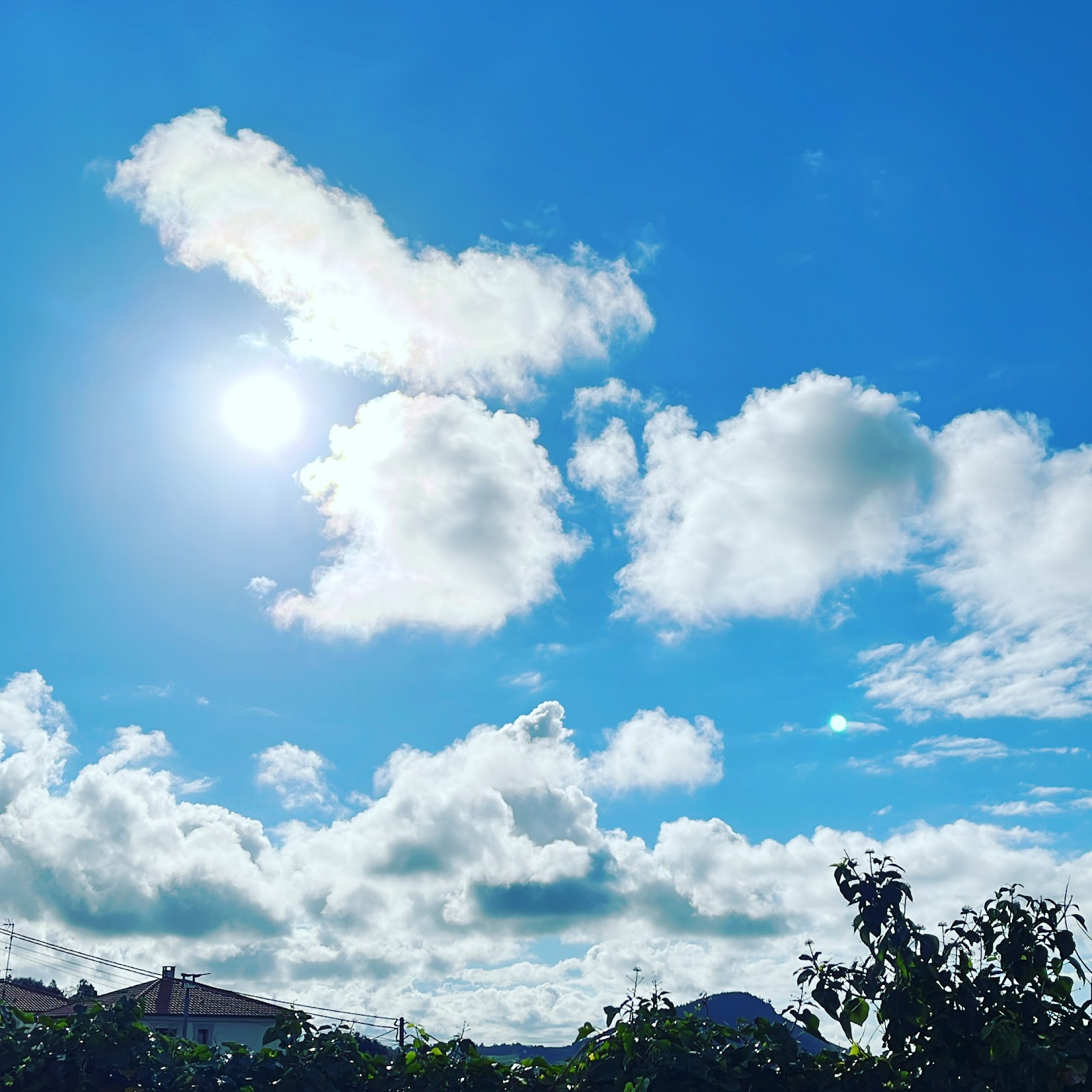 Coccoa Boutique Hotel photo 4