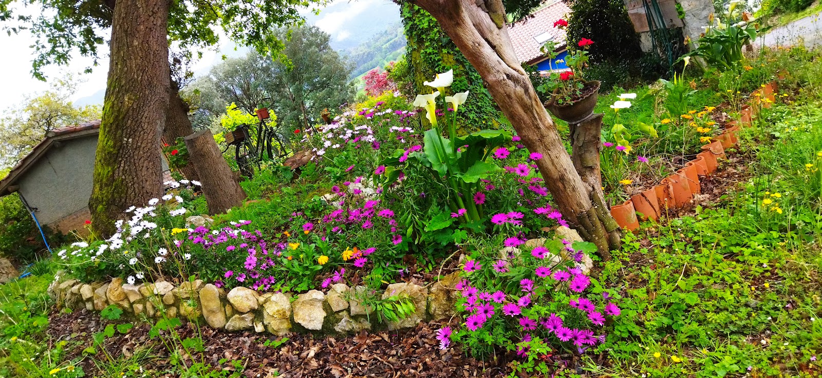 The cottage Corberu photo 5