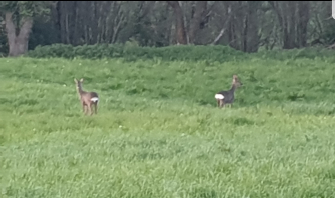 Casa Vacacional Mirador de San Vicente photo 7