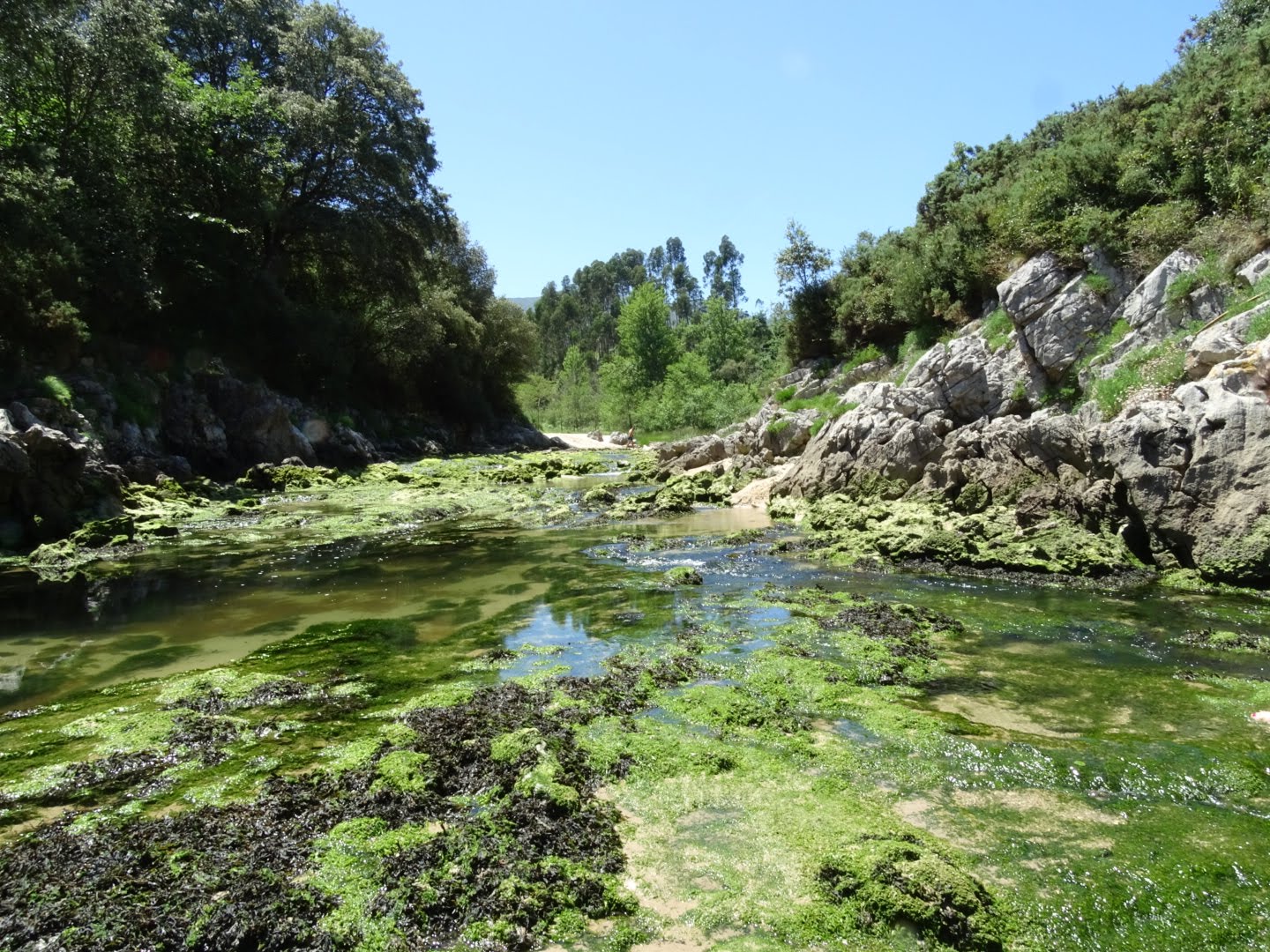 Vivienda vacacional El Ángel photo 8