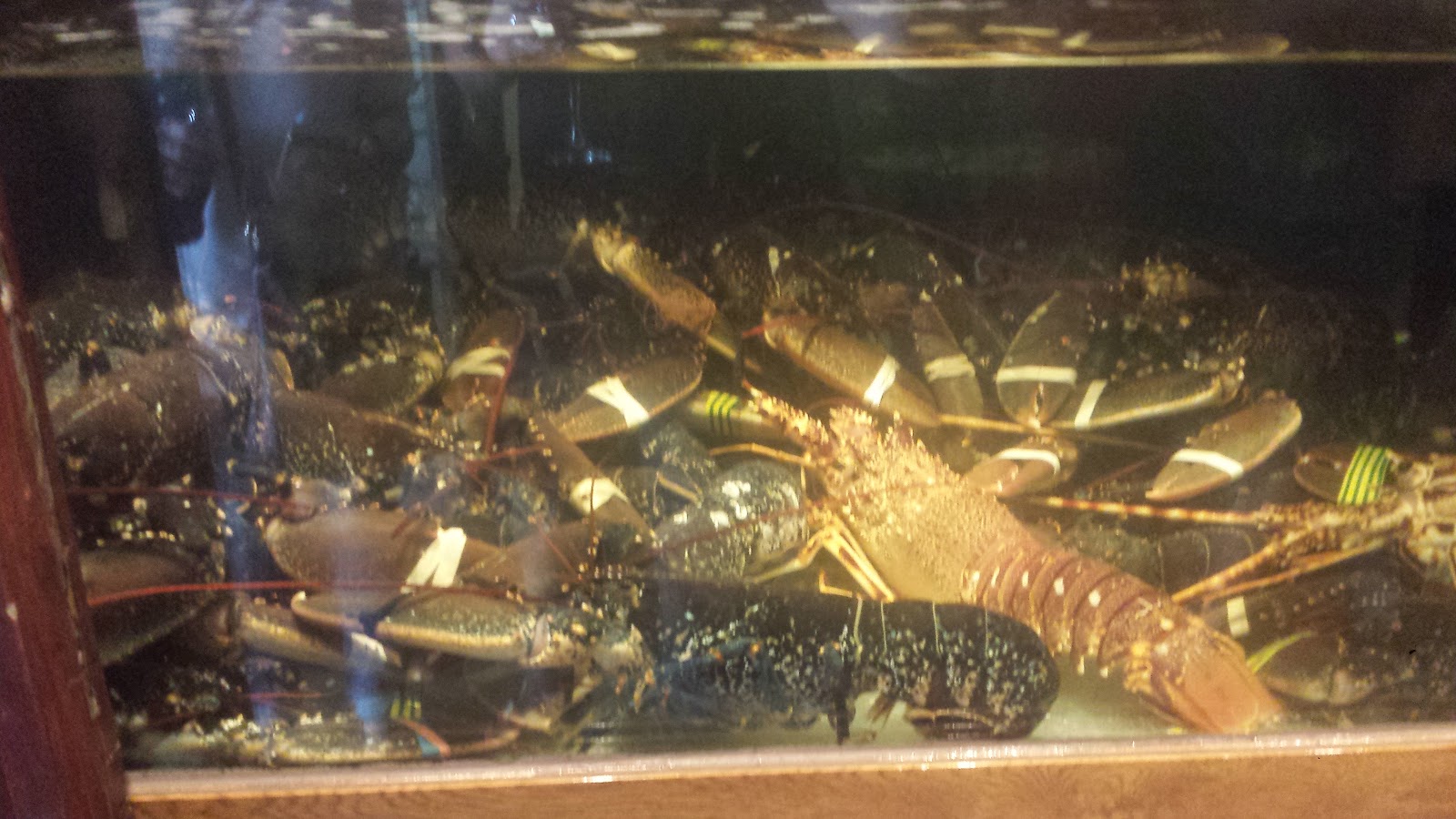 Hotel Boga-Boga photo 10