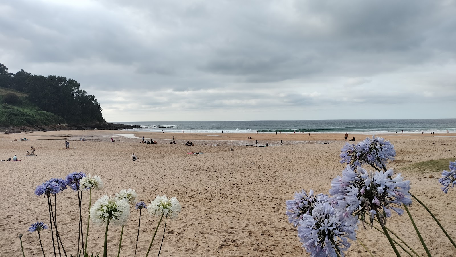 COBRECES 198 photo 9