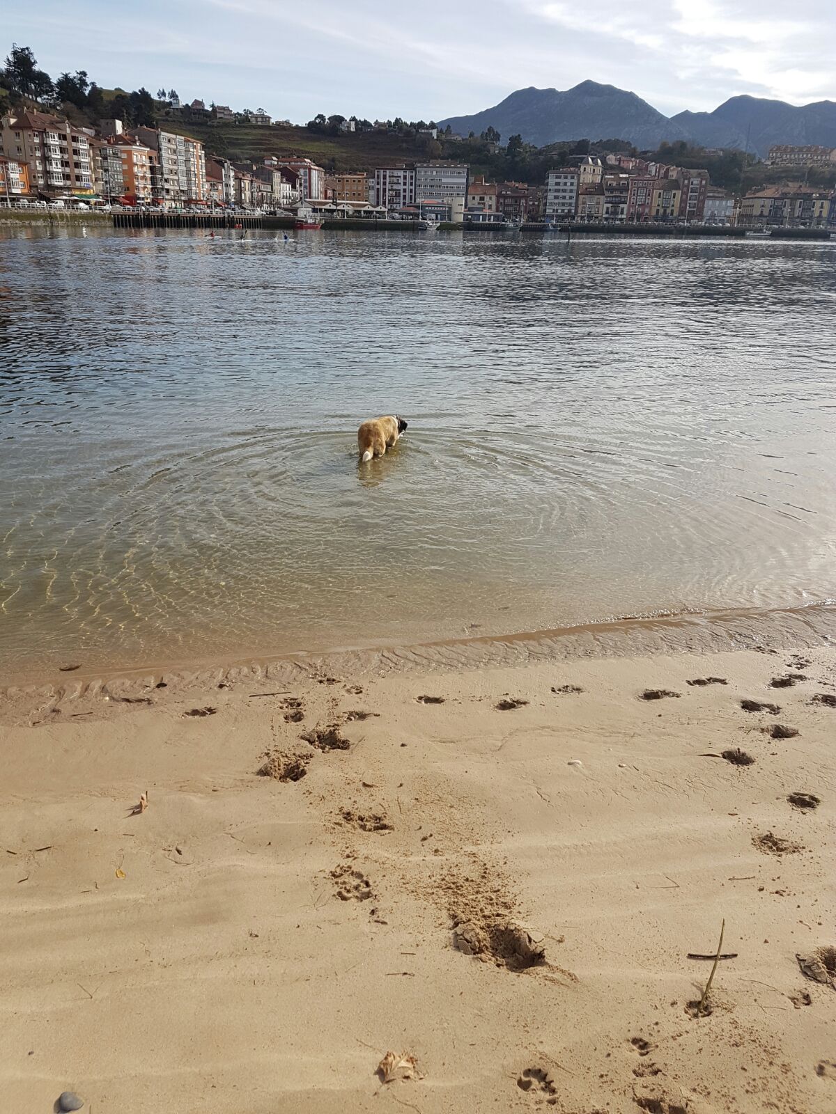 Hotel Arena en Ribadesella photo 9