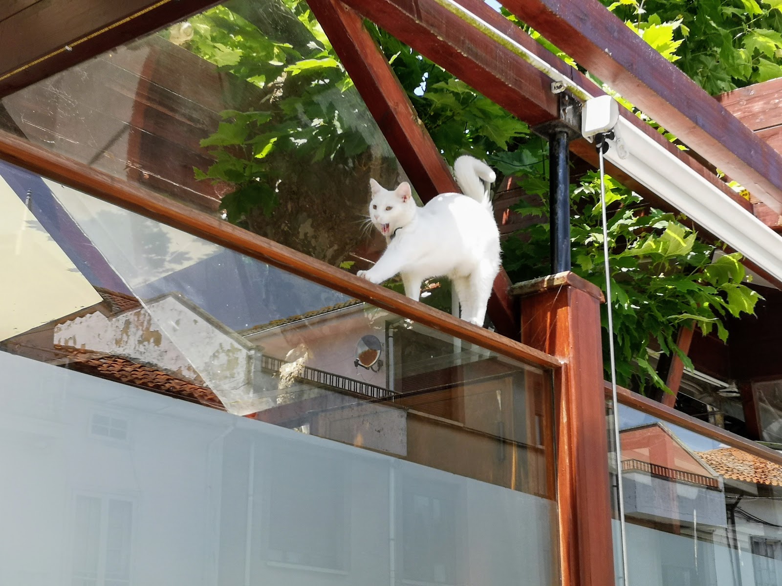 La Trufa Roja photo 9